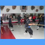 Martes 070.jpg